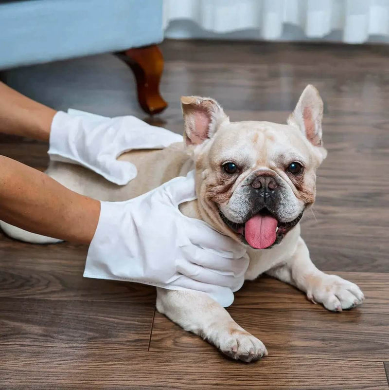 LUVA UMEDECIDA BANHO A SECO E HIDRATAÇÃO PARA CÃES E GATOS – CADA PACOTE CONTEM 6 LUVAS